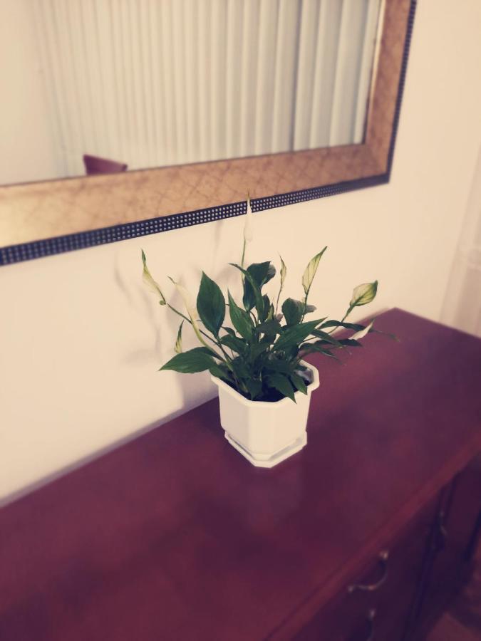 Apartman Peregrinus Korenica Luaran gambar